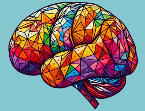 brain
